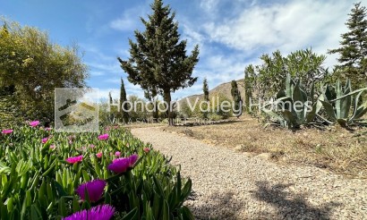 Reventa - Villa - Hondon De Las Nieves