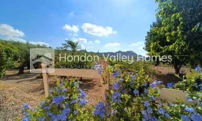 Revente - Ville - Aspe