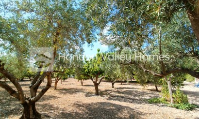 Revente - Ville - Aspe