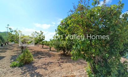 Revente - Ville - Aspe