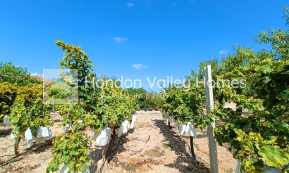 Revente - Ville - Aspe