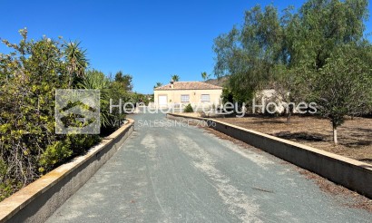 Revente - Ville - Hondón de los Fráiles