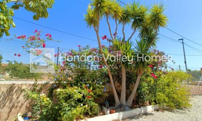 Revente - Ville - Abanilla - ABANILLA