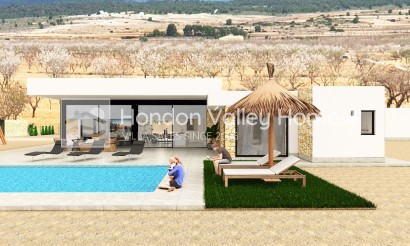 Neuf / En Projet - Ville - Pinoso