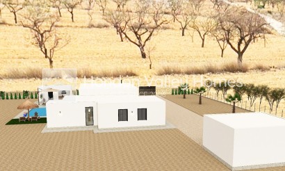 Neuf / En Projet - Ville - Pinoso