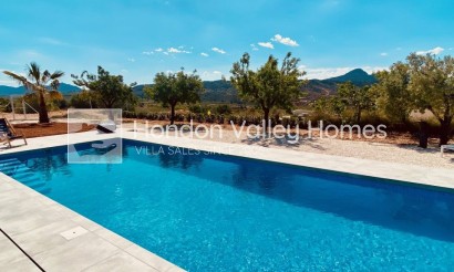 Neubau / In Entwicklung - Villa - Macisvenda