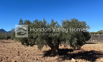 Rynek wtórny - Plot - Land - La Romana