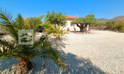 Resale - Villa - Macisvenda