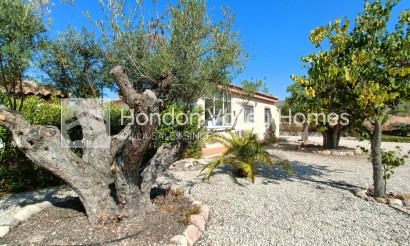 Resale - Villa - Macisvenda