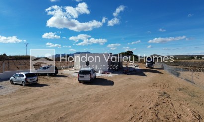 Nieuwbouw / Nieuwbouwproject - Villa - Pinoso