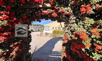 Wiederverkauf - Finca Country Property - La Zarza