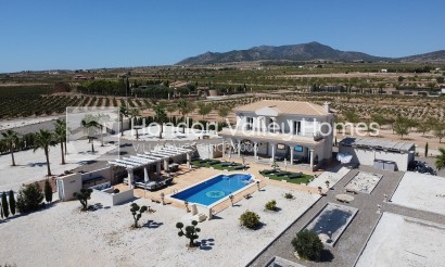 New Build / Off-Plan - Villa - Pinoso