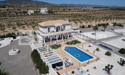 New Build / Off-Plan - Villa - Pinoso