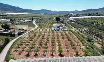 Resale - Villa - Hondon De Las Nieves