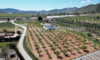 Resale - Villa - Hondon De Las Nieves