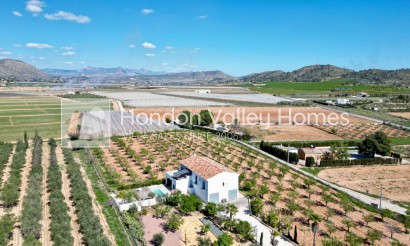 Resale - Villa - Hondon De Las Nieves