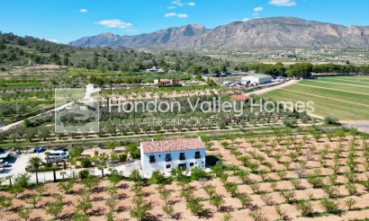 Resale - Villa - Hondon De Las Nieves