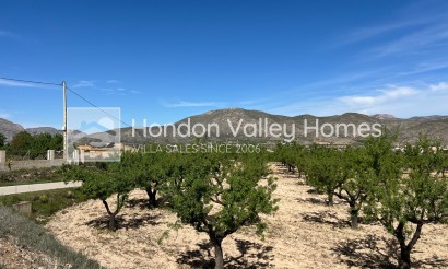 Resale - Plot / Land - Hondón de los Fráiles