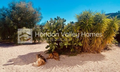 Rynek wtórny - Manor house - El Canton