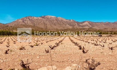 Rynek wtórny - Manor house - El Canton