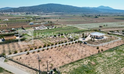 Wiederverkauf - 5. Finca / Country Property - Pinoso