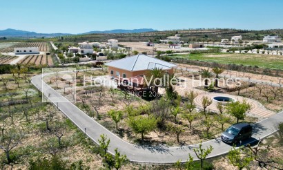 Wiederverkauf - 5. Finca / Country Property - Pinoso