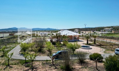Wiederverkauf - 5. Finca / Country Property - Pinoso