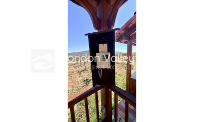 Wiederverkauf - 5. Finca / Country Property - Pinoso