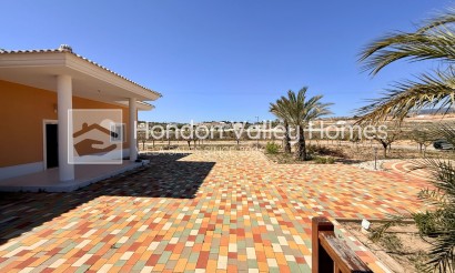 Wiederverkauf - 5. Finca / Country Property - Pinoso