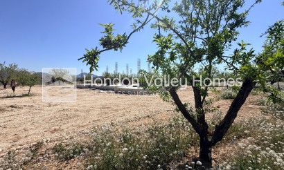 Neubau / In Entwicklung - Villa - Pinoso