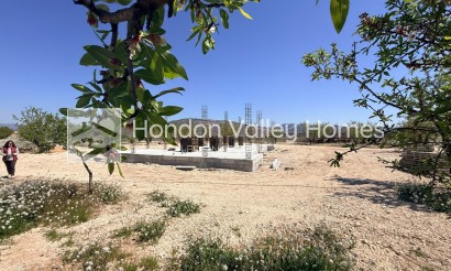 Neubau / In Entwicklung - Villa - Pinoso