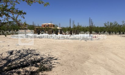 Neubau / In Entwicklung - Villa - Pinoso