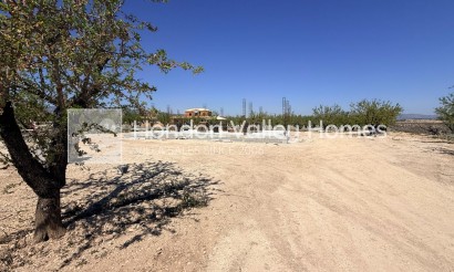 Neubau / In Entwicklung - Villa - Pinoso