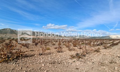 Obra Nueva / En Proyecto - Villa - Canada de la Lena