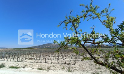 New Build / Off-Plan - Villa - Pinoso