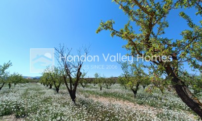 New Build / Off-Plan - Villa - Pinoso