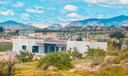 New Build / Off-Plan - Villa - Detached - Macisvenda