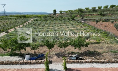 Resale - Villa - Pinoso