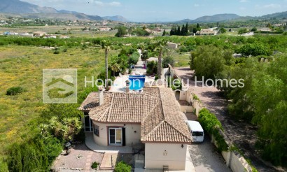 Rynek wtórny - Detached Villa - Hondón de los Fráiles