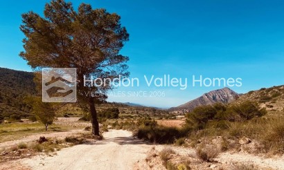 Reventa - 4. House - Detached Villa - Hondón de las Nieves