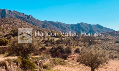Reventa - 4. House - Detached Villa - Hondón de las Nieves