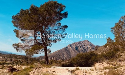 Reventa - 4. House - Detached Villa - Hondón de las Nieves