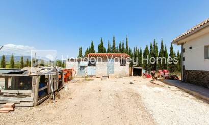 Reventa - Villa - Pinoso
