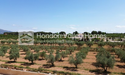 Reventa - Villa - Pinoso