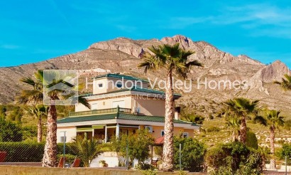 Resale - Villa - Detached - Macisvenda