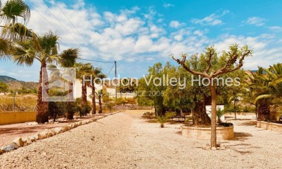 Resale - Villa - Detached - Macisvenda