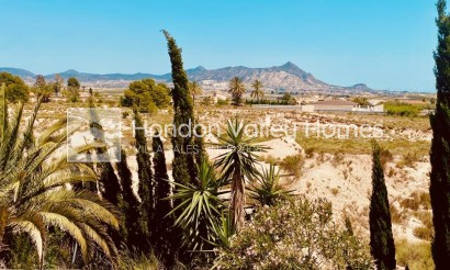 Resale - Villa - Detached - Fortuna