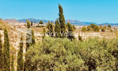 Resale - Villa - Detached - Fortuna
