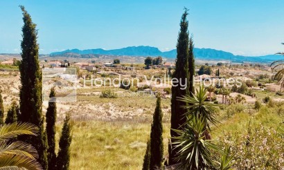Resale - Villa - Detached - Fortuna