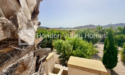 Revente - Villa - Detached - Hondón de las Nieves
